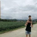 연천회관