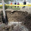 솔안마을 이미지