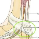 연세마디플러스의원 이미지