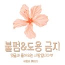 미츠과자점 | 서울 강남 가루쿡 파는곳 세계과자전문점 크라시에 구미 츠레타 구매