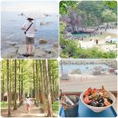 한산1리 | 경북 울진 영덕 가볼만한곳 1박2일 국내 여름휴양지 추천