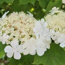 경기둘레길 안성42코스 이미지