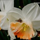 창인요양원 네이버블로그