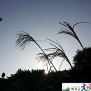 동녘농장 이미지