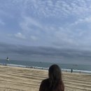 바라던바다 이미지