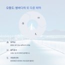 중앙동327 이미지