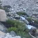 JMT(Bishop pass - Kearsarge pass 구간) 백패킹 #3/7 이미지