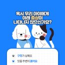재생동물병원 이미지