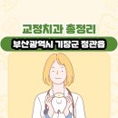 부산광역시 기장군 정관읍 교정치과 총정리