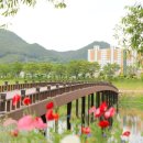 황룡강 주유소 이미지