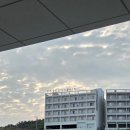 제주파크힐 | 21개월, 7개월 연년생 자매와의 우당탕탕 제주 한달살이 (1) - 완도 숙소는 여기! 파크힐 컴포트 호텔