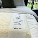 시몬스갤러리부산 - 해운대구 좌동로53번길 40 | 부산 해운대 시몬스 침대 : 가격 상담 후기