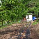 한덕농장 이미지