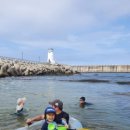 난전농장 이미지