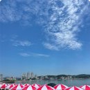 사계연화 이미지