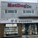 핫독애견백화점 이미지