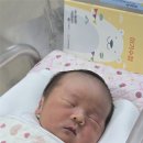 세영운수(유) | 대구작명소유명한곳 추천 내돈내산 승덕철학관 신생아 작명 후기