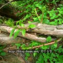 한민농장 이미지