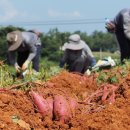 웰빙산업 이미지