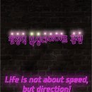 진정식복싱클럽 이미지