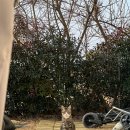 화왕산오토캠프장 | 취미 기록] 창녕 화왕산 오토캠핑장