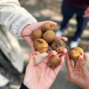 봄여름가을겨울펜션민박 이미지