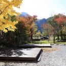 정선애펜션캠핑장 이미지