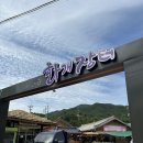 섬진강어류생태관 | 하동·구례 여행 🏞 섬진강어류생태관 &amp; 화개장터 후기
