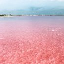 스페인, 알리칸테, 핑크색 호수 <b>토레비</b>에야 (Pink lake Torrevieja, Alicante, Spain)