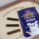 (주)펫츠랜드 | [강아지덴탈껌] 오아이오덴탈케어츄2세트 기호성 좋은 비건 강아지치석껌