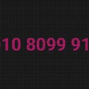 영덕종합동물병원 이미지