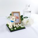 기억할개 이미지