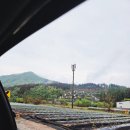 꽃길만걷개 | 강원도 춘천 애견펜션 마음껏 뛰노는 꽃길만걷개