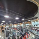 최신헬스클럽 이미지