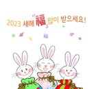 커텐과이불 이미지