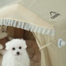 지오코리아