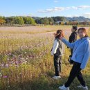 종필목장 Daum카페