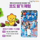 송산손세차장 이미지