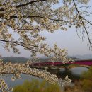 소양공원 이미지