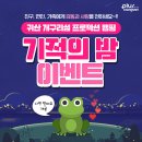 개구리문구 이미지