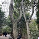 해림민박 | [여행] 전라도 3박4일 (남원/구례/광양/여수/순천) - 3일차 (여수 맛집 카페 밤바다 여행)