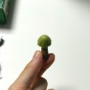 이마트24 합정당인점 | 말차 과자 신상 초코송이 제주말차케이크맛, 빈츠 프리미어 마차 후기/파는 곳