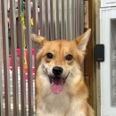 워리워리 이미지