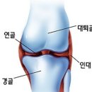 건강한 봄운동을 위해서 스트레칭은 필수인거 아시죠:) 이미지