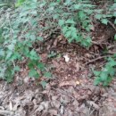 용화목욕탕 이미지