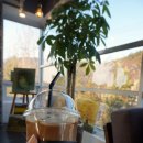 카페 비타리카 이미지