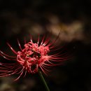 중앙공원(상) 이미지