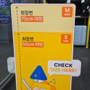 (주)짐캐리 | [홍대] 🎒 무거운 백팩 안녕! 짐캐리 홍대입구역점 이용 후기 (보관료/주의사항)