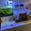 카페어바웃 이미지