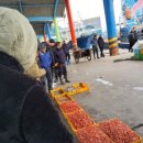 묵호어판장 이미지